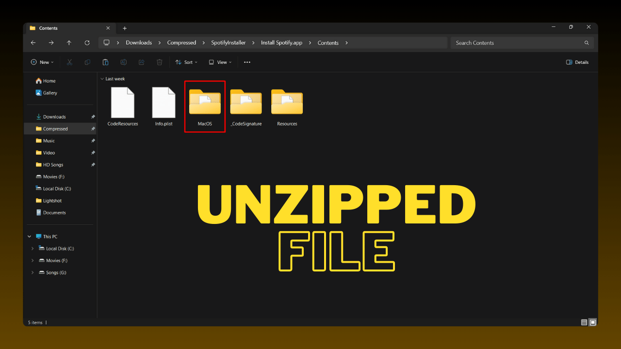 Unzipped File
